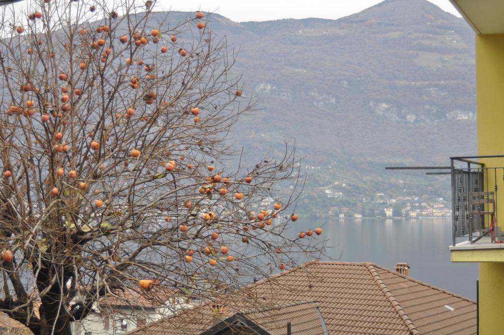 Casa Katia Appartement Lezzeno Buitenkant foto